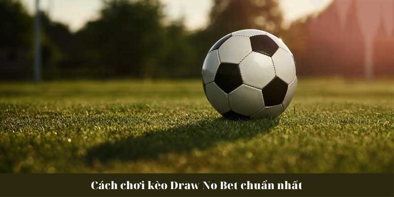 Kèo Draw No Bet Là Gì Hướng Dẫn Đặt Cược Hiệu Quả