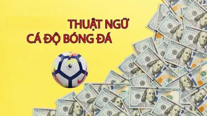 Thuật ngữ cá cược bóng đá cơ bản dành cho người mới bắt đầu