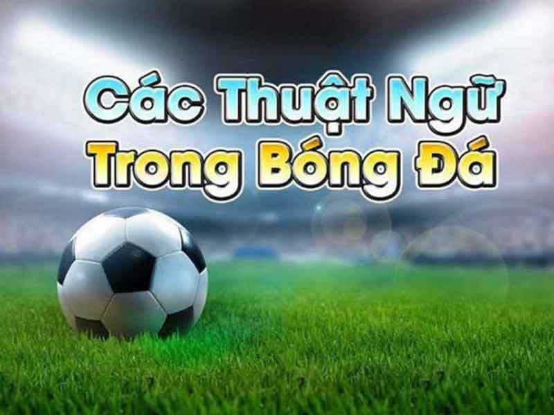 Thuật ngữ cá cược bóng đá cơ bản dành cho người mới bắt đầu